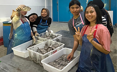 Processing Leatherjacket Fish for China: Indonesia Seafood’s Brondong Operations