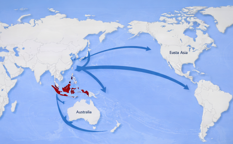 Global Demand for Indonesian Seafood: Key Export Markets